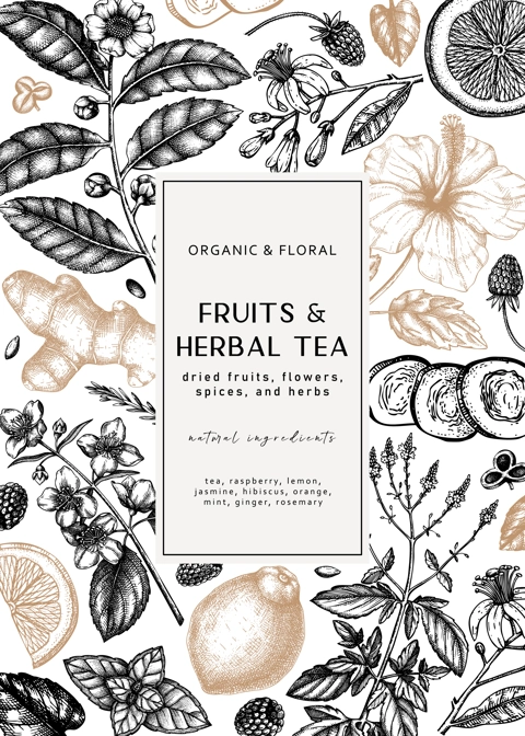 Vintage card design with hand-drawn herbal. Vector herbs, leaves, flowers, fruits hand drawings background. Perfect for recipe, menu, label, packaging. Herbal tea template. Botanical drawings